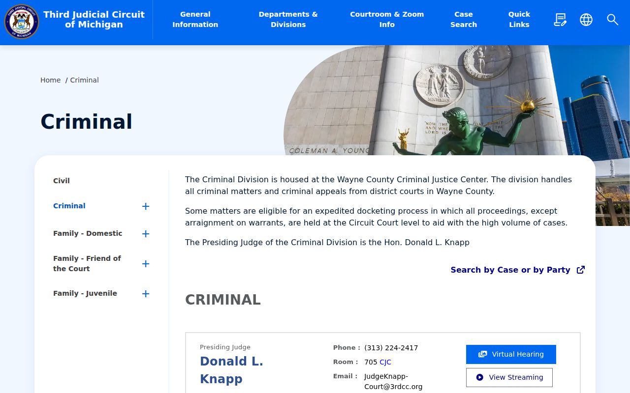 Third Judicial Circuit Criminal Division information for Wayne County felony records